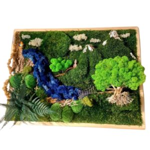 Obraz krajobraz z mchu chrobotka I roślin stabilizowanych