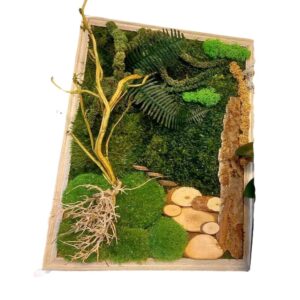 Obrazy z Mchu Chrobotka i Roślin Stabilizowanych