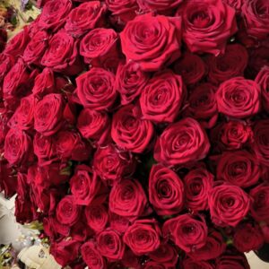 Bukiet 101 długich czerwonych róż