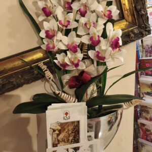 Storczyk sztuczny donica