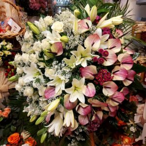 WIENIEC wielokwiatowy duży