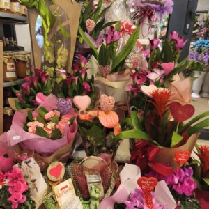 Kwiaty domowe kwitnące