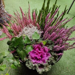 Żywa kompozycja kwiatowa