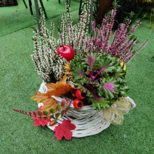 Żywa kompozycja, filiżanka z wikliny