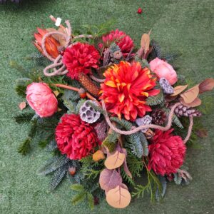 Stroik żywa choina nobiles