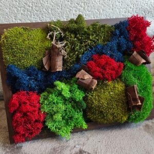 Naturalna kompozycja z mchu chrobotka