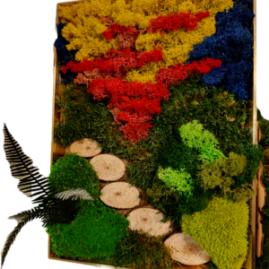 Tęczowy Las Porostów – obraz 3D z roślin stabilizowanych 27 × 37 cm