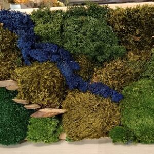 Błękitny Szlak Górskiego Potoku – obraz 3D z mchu stabilizowanego 45 × 30 cm