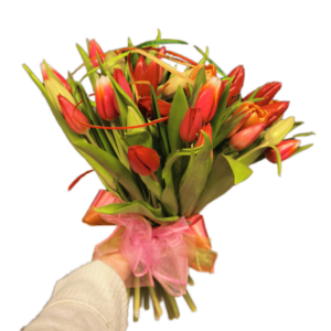 Bukiet 25 kolorowych tulipanów