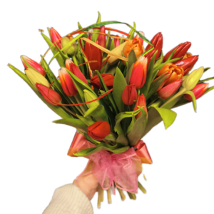 Bukiet kolorowe tulipany 7-100szt
